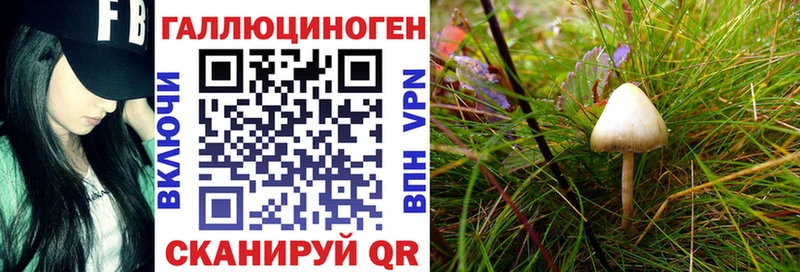 купить  цена  Энгельс  Галлюциногенные грибы MAGIC MUSHROOMS 
