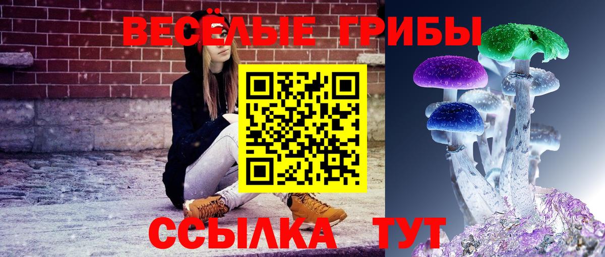 Галлюциногенные грибы ЛСД Энгельс